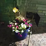 아파트 Lucy's House 리메나스