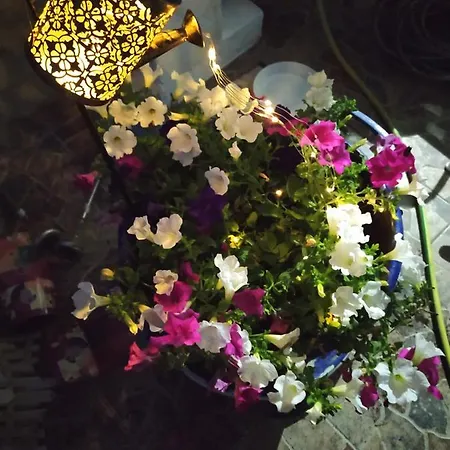 Lucy's House Lägenhet Thassos