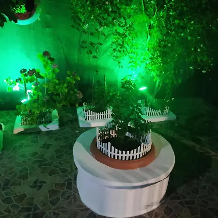 Lucy's House Apartment