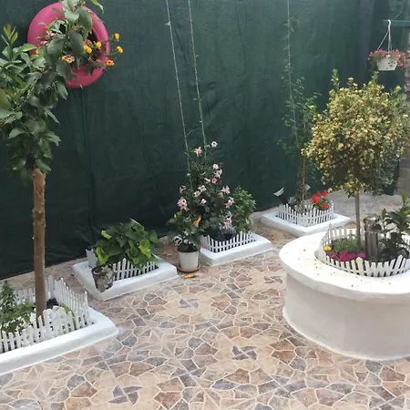 Lucy's House *