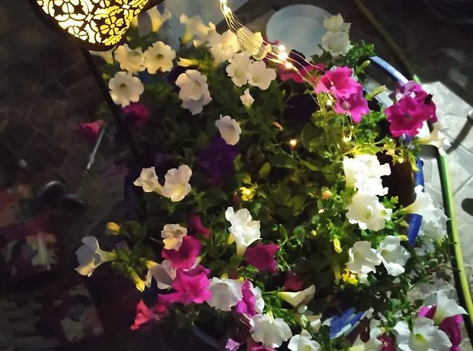 Lucy's House 아파트 리메나스